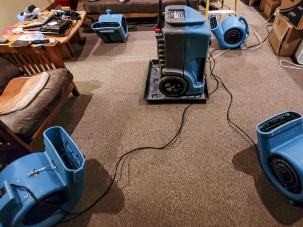 Cost of Flood Damage Recovery in Rochester