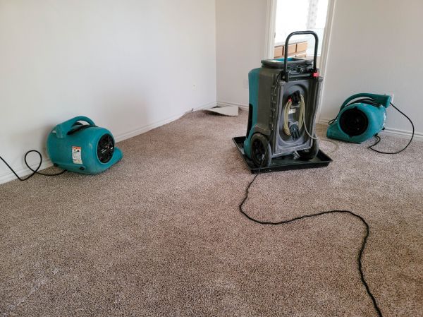 Cost of Flood Damage Repair in Rochester