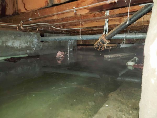 Cost of Water Mitigation Service in Rochester
