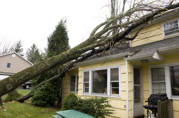Cost of Storm Damage Mitigation in Rochester